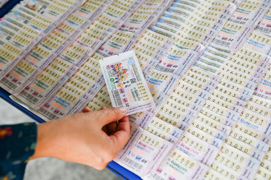 深入解析双色球综合数据追号：提升中奖概率的秘密武器